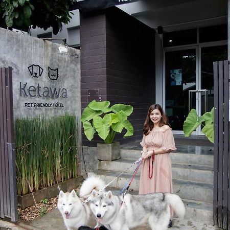 Ketawa Pet Friendly Hotel Chiang Mai Dış mekan fotoğraf
