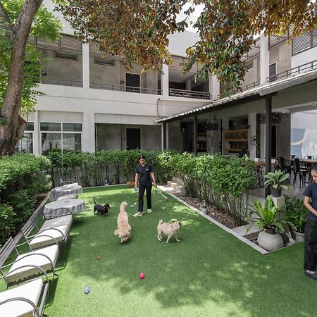 Ketawa Pet Friendly Hotel Chiang Mai Dış mekan fotoğraf