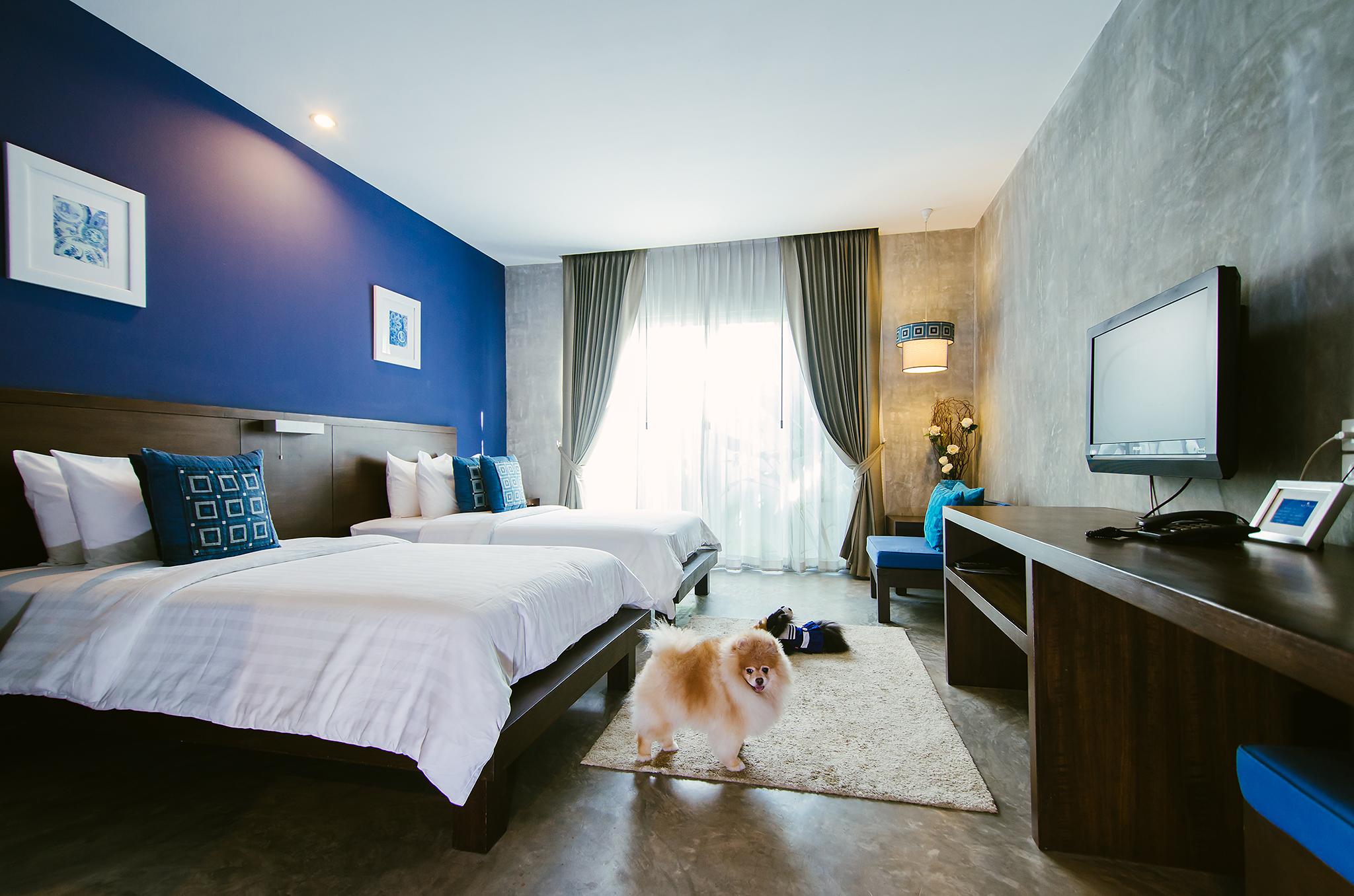 Ketawa Pet Friendly Hotel Chiang Mai Dış mekan fotoğraf