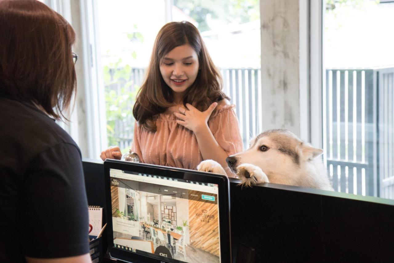 Ketawa Pet Friendly Hotel Chiang Mai Dış mekan fotoğraf
