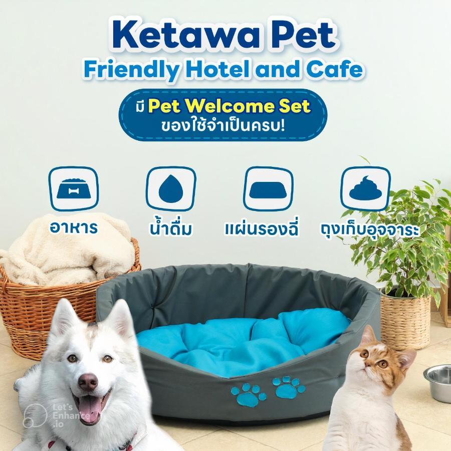 Ketawa Pet Friendly Hotel Chiang Mai Dış mekan fotoğraf