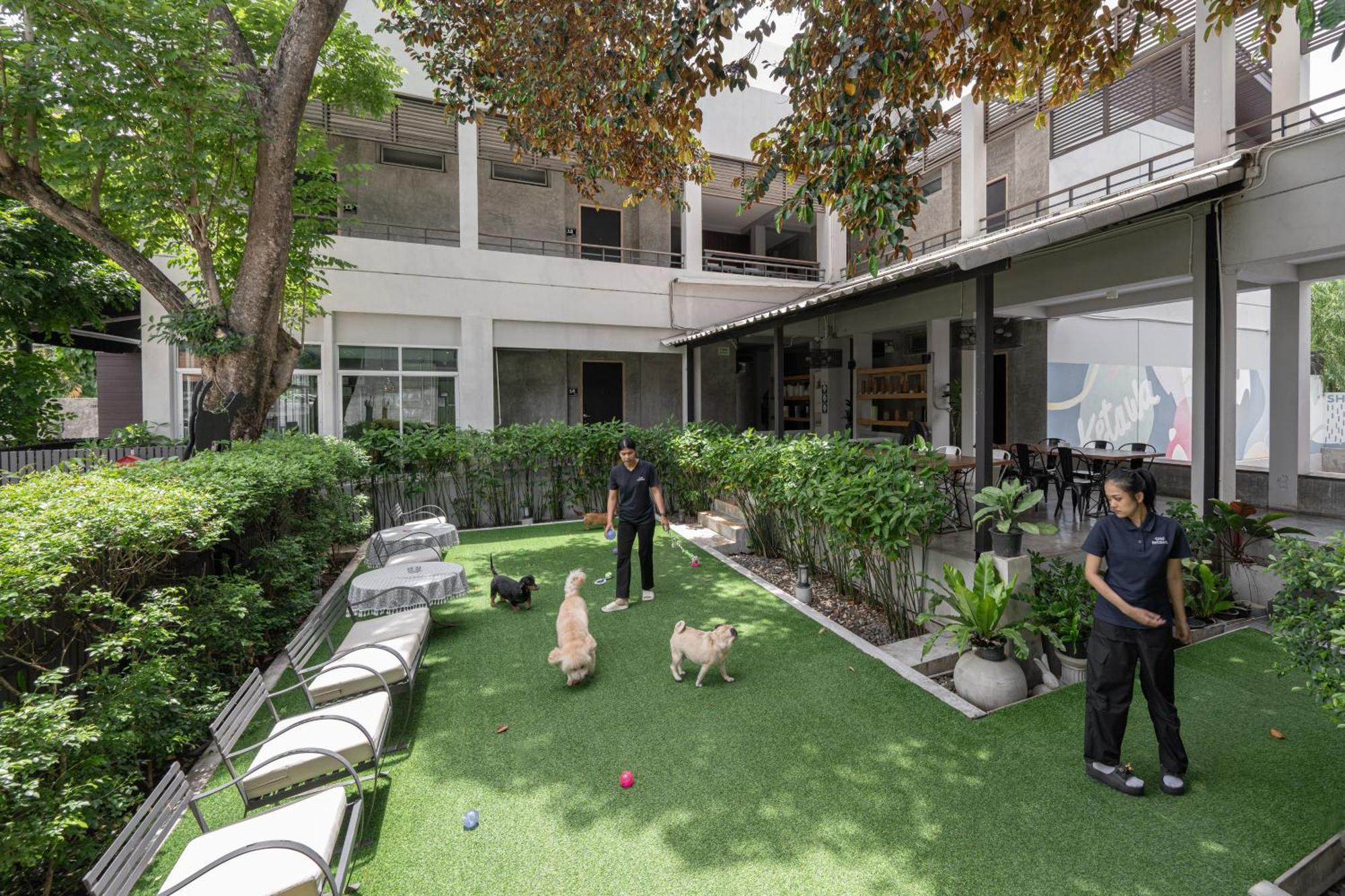 Ketawa Pet Friendly Hotel Chiang Mai Dış mekan fotoğraf