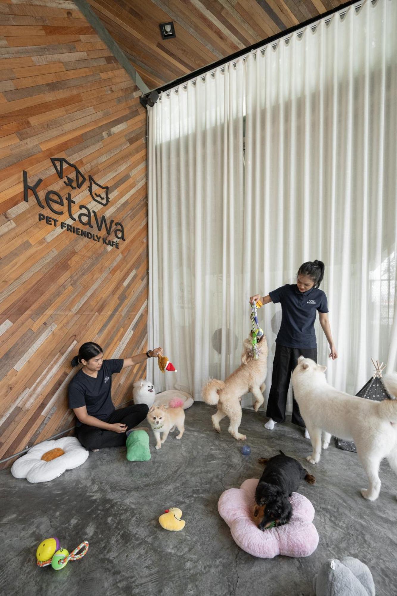 Ketawa Pet Friendly Hotel Chiang Mai Dış mekan fotoğraf