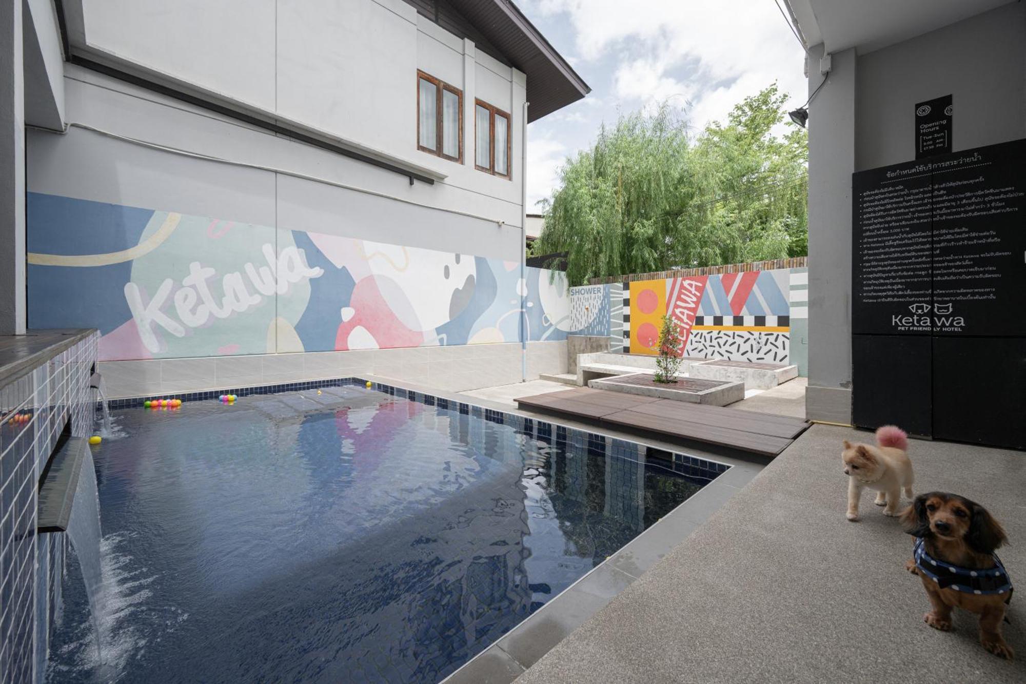 Ketawa Pet Friendly Hotel Chiang Mai Dış mekan fotoğraf