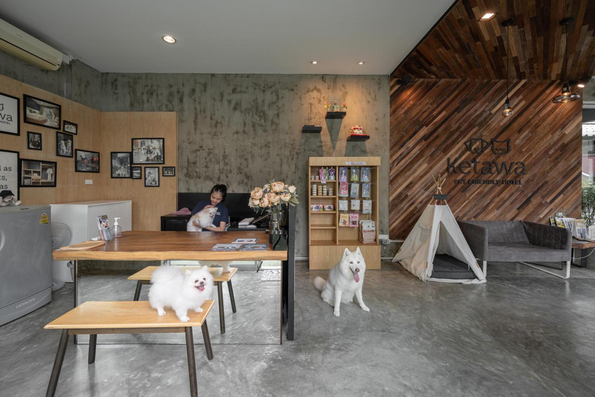 Ketawa Pet Friendly Hotel Chiang Mai Dış mekan fotoğraf
