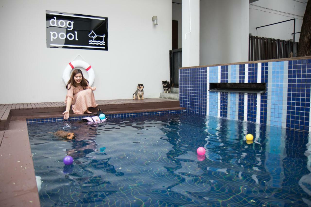 Ketawa Pet Friendly Hotel Chiang Mai Dış mekan fotoğraf